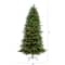7ft. Pre-Lit South Carolina Fir Artificial Christmas Tree, Clear Lights